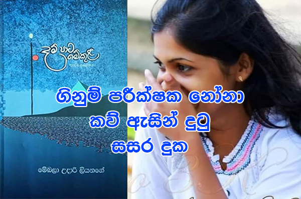 ගිනුම් පරීක්ෂක නෝනා කවි ඇසින් දුටු සසර දුක