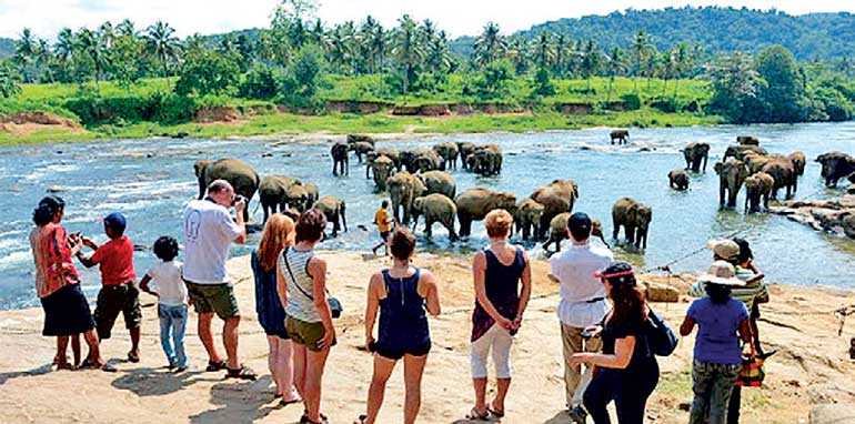 දිනකට විදෙස් සංචාරකයන් දහස බැගින් ගෙන්වා ගැනීමේ සැළසුමක්!