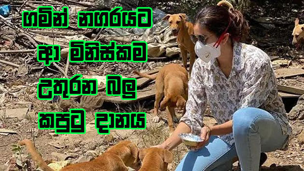 ගමින් නගරයට ආ මිනිස්කම උතුරන බලු කපුටු දානය