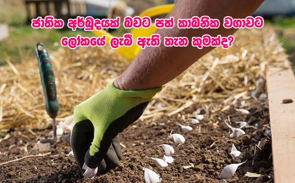 ජාතික අර්බුදයක් බවට පත් කාබනික වගාවට ලෝකයේ ලැබී ඇති තැන කුමක්ද?