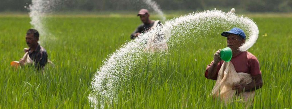 රටේ පොහොර ප්‍රශ්නයත් රාජ්‍ය තාන්ත්‍රික අර්බුදයක් කර ගත් වගයි