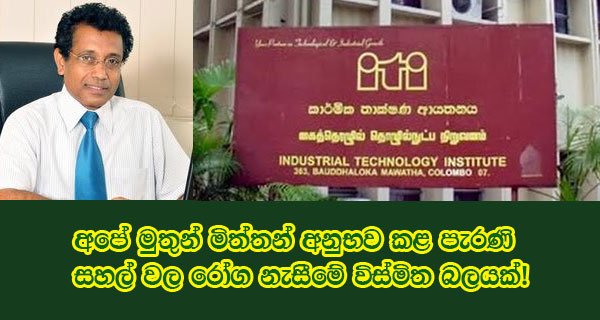 අපේ මුතුන් මිත්තන් අනුභව කළ පැරණි සහල් වල රෝග නැසීමේ විස්මිත බලයක්!