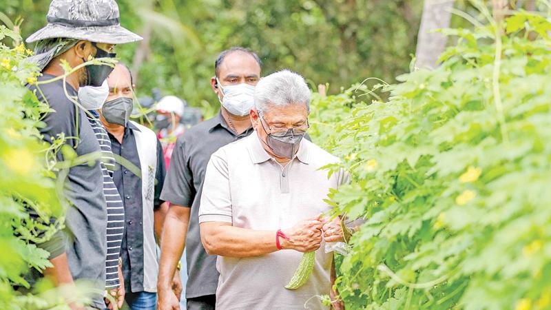 කාබනික වගා දවල් සිහිනයෙන් ජනපති පිබිදවිය නොහැකිද?