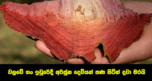 වලවේ ගං ඉවුරේදී අර්ජුන දෙවියන් පණ පිටින් දවා මරයි