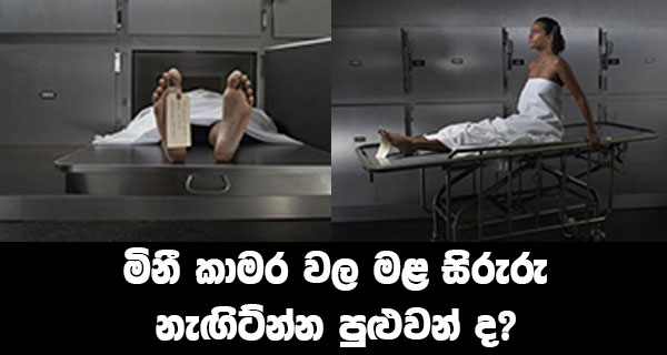 මිනී කාමර වල මළ සිරුරු නැඟිටින්න පුළුවන්ද?