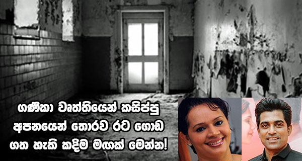 ගණිකා වෘත්තියෙන් කසිප්පු අපනයෙන් තොරව රට ගොඩ ගත හැකි කදිම මඟක් මෙන්න!