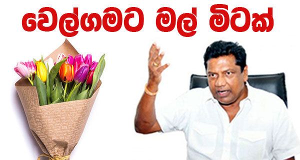 වෙල්ගමට මල් මිටක්!