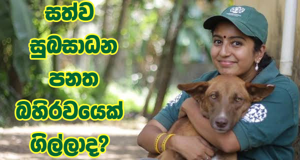 සත්ව සුබසාධන පනත බහිරවයෙක් ගිල්ලාද?