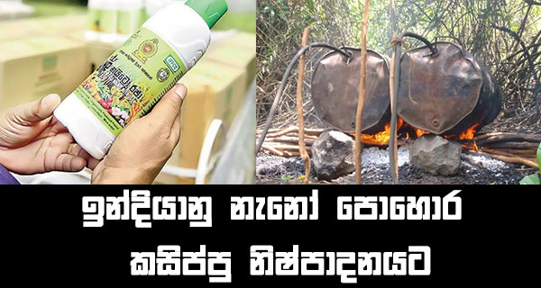 ඉන්දියානු නැනෝ පොහොර කසිප්පු නිෂ්පාදනයට