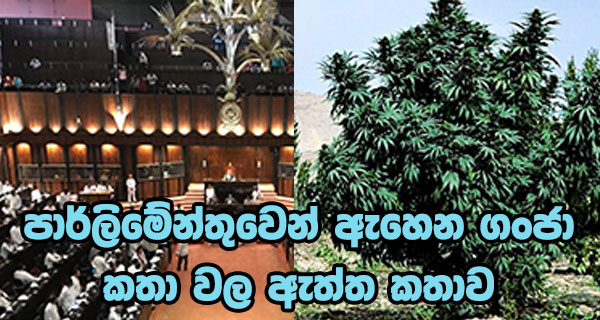 පාර්ලිමේන්තුවෙන් ඇහෙන ගංජා කතා වල ඇත්ත කතාව