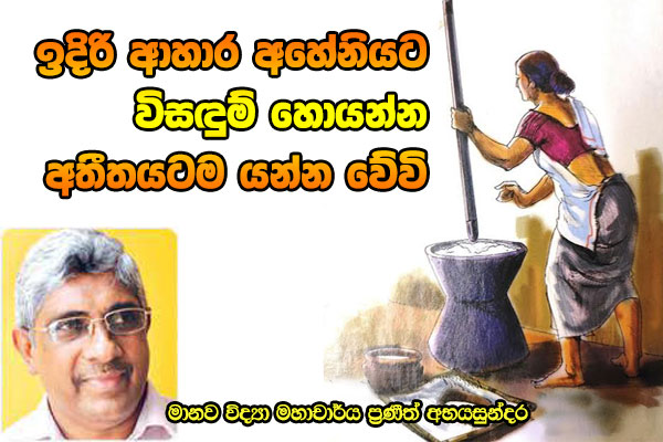 ඉදිරි අහේනියට විසඳුම් සොයා අතීතයටම යන්න වේවි !