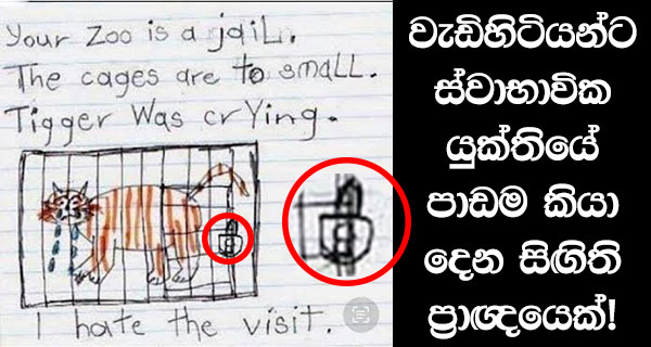 වැඩිහිටියන්ට ස්වාභාවික යුක්තියේ පාඩම කියා දෙන සිඟිති ප්‍රාඥයෙක්!