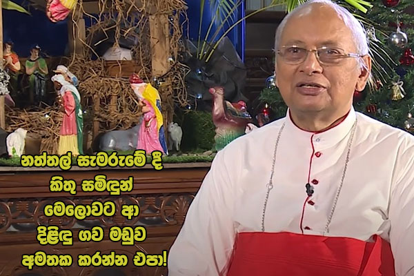 නත්තල් සැමරුමේ දී කිතු සමිඳුන් මෙලොවට ආ දිළිඳු ගව මඩුව අමතක කරන්න එපා!