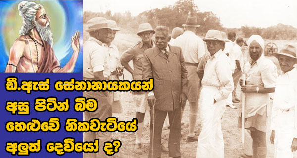 ඩී.ඇස්. සේනානායකයන් අසු පිටින් බිම හෙළුවේ නිකවැටියේ අලුත් දෙවියෝ ද?