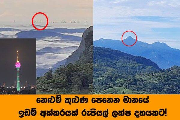 නෙළුම් කුළුණ පෙනෙන මානයේ ඉඩම් අක්කරයක් රුපියල් ලක්ෂ දහයකට!