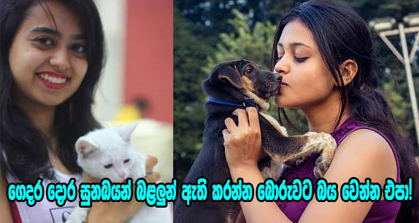 ගෙදර දොර සුනඛයන් බළලුන් ඇති කරන්න බොරුවට බය වෙන්න එපා!