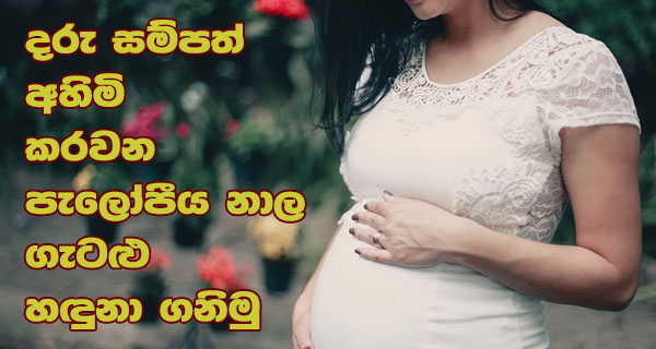 දරු සම්පත් අහිමි කරවන පැලෝපීය නාල ගැටළු හඳුනා ගනිමු