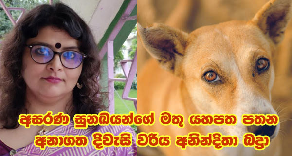 අසරණ සුනඛයන්ගේ මතු යහපත පතන අනාගත දිවැසි වරිය අනින්දිතා බද්‍රා