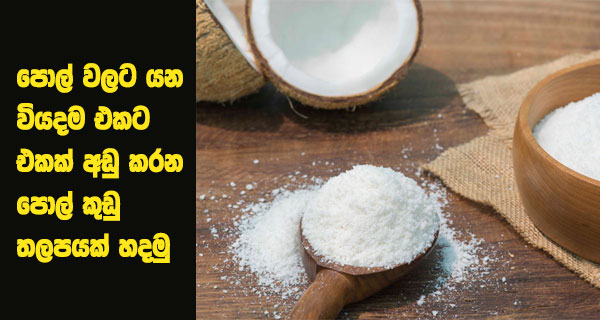 පොල් වලට යන වියදම එකට එකක් අඩු කරන පොල් කුඩු තලපයක් හදමු