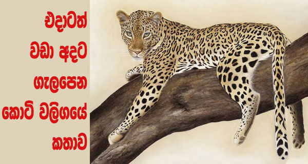 එදාටත් වඩා අදට ගැලපෙන කොටි වලිගයේ කතාව