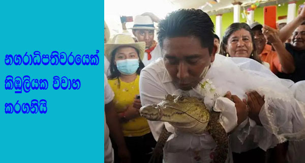 නගරාධිපතිවරයෙක් කිඹුලියක විවාහ කරගනියි