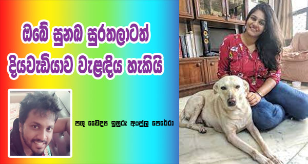 ඔබේ සුනඛ සුරතලාටත්  දියවැඩියාව වැළඳිය හැකියි