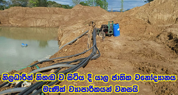 නිලධාරීන් නිහඬ ව සිටිය දී යාල ජාතික වනෝද්‍යානය මැණික් ව්‍යාපාරිකයන් වනසයි