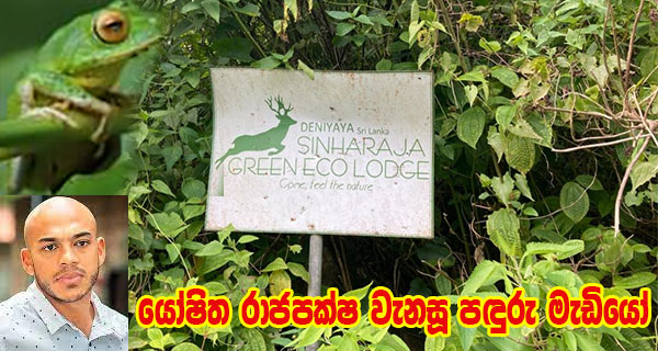 යෝෂිත රාජපක්ෂ වැනසූ පඳුරු මැඩියෝ