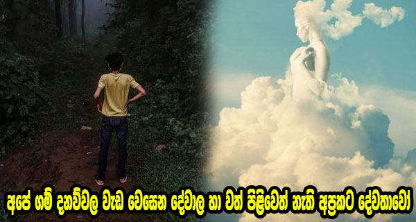 අපේ ගම් දනව්වල වැඩ වෙසෙන දේවාල හා වත් පිළිවෙත් නැති අප්‍රකට දේවතාවෝ