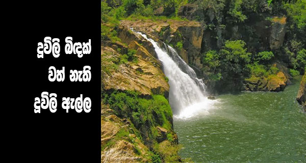 දූවිලි බිඳක් වත් නැති දූවිලි ඇල්ල