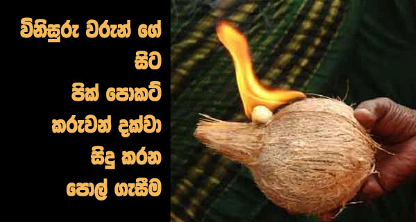 විනිසුරු වරුන් ගේ සිට පික් පොකට් කරුවන් දක්වා සිදු කරන පොල් ගැසීම