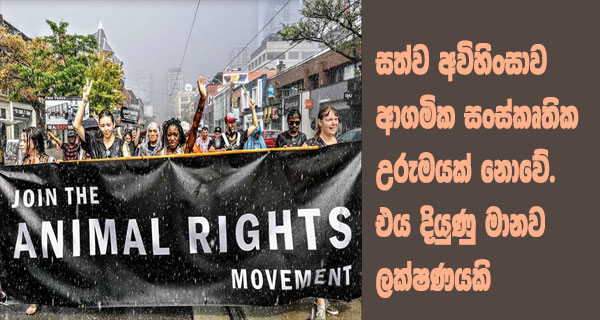 සත්ව අවිහිංසාව ආගමික සංස්කෘතික උරුමයක් නොවේ. එය දියුණු මානව ලක්ෂණයකි