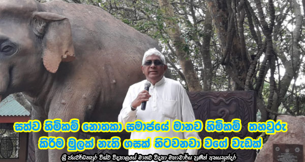 සත්ව හිමිකම් නොතකා සමාජයේ මානව හිමිකම් තහවුරු කිරීම මුලක් නැති ගසක් හිටවනවා වගේ වැඩක්