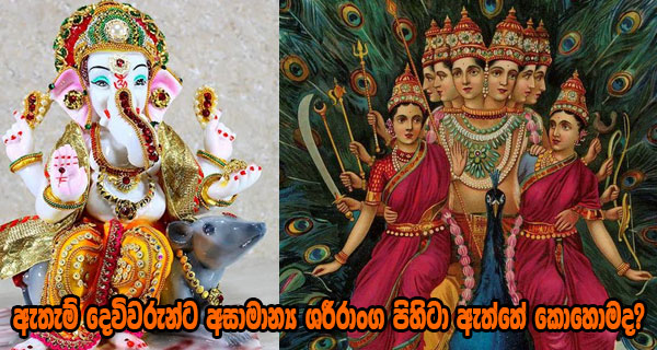 ඇතැම් දෙවිවරුන්ට අසාමාන්‍ය ශරීරාංග පිහිටා ඇත්තේ කොහොමද?