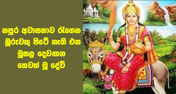 නපුර අවාසනාව රැගෙන බූරුවකු පිටේ නැගී එන මූසල දෙවඟන හෙවත් මූ දේවි