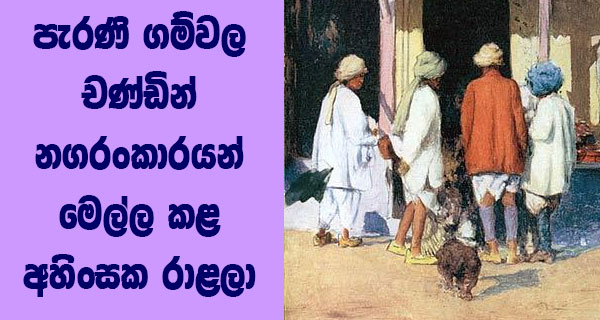 පැරණි ගම්වල චණ්ඩින් නගරංකාරයන් මෙල්ල කළ අහිංසක රාළලා