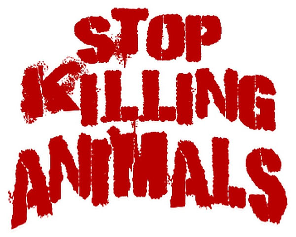 stopkillinganimals