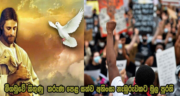 මීගමුවේ කිතුණු තරුණ පෙළ සත්ව අහිංසා නැඹුරුවකට මුල පුරති