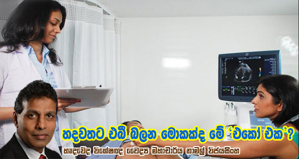 හදවතට එබී බලන මොකක්ද මේ ‘එකෝ එක’?