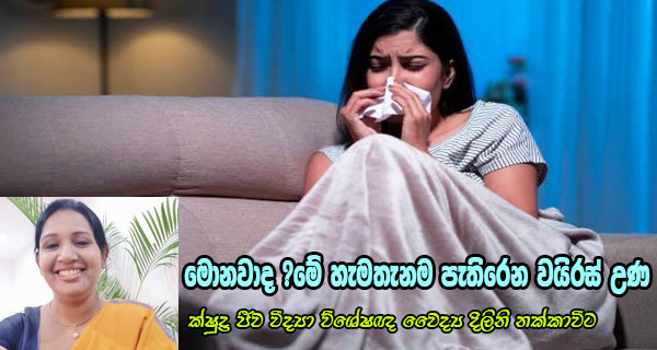 මොනවාද ?මේ හැමතැනම පැතිරෙන වයිරස් උණ – ක්ෂුද්‍ර ජීව විද්‍යා විශේෂඥ වෛද්‍ය දිලිනි නක්කාවිට 