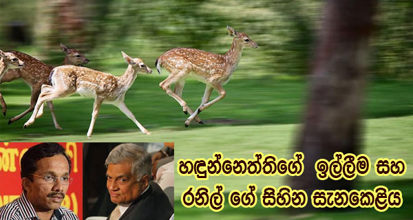 හඳුන්නෙත්තිගේ ඉල්ලීම සහ රනිල් ගේ සිහින සැනකෙළිය