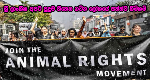 ශ්‍රී ලාංකික අපට පුදුම හිතෙන නවීන ලෝකයේ සත්ත්ව හිමිකම්