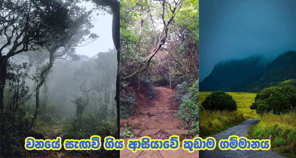 වනයේ සැඟවී ගිය ආසියාවේ කුඩාම ගම්මානය