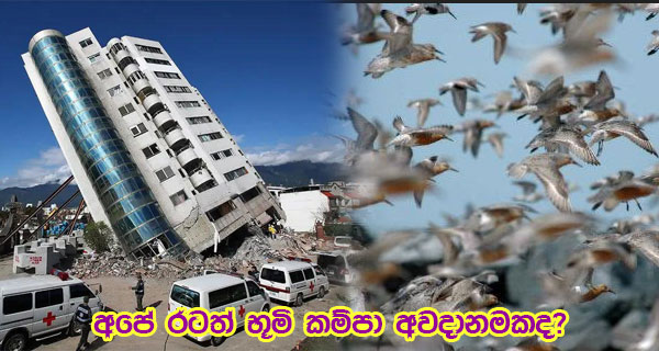 අපේ රටත් භූමි කම්පා අවදානමකද?