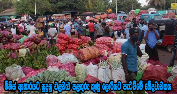 මිනිස් ආහාරයට සුදුසු එළවළු පළතුරු කුණු ලොරියට පැටවීමේ ඛේදවාචකය