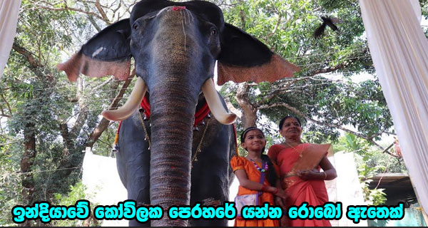 ඉන්දියාවේ කෝවිලක පෙරහරේ යන්න රොබෝ ඇතෙක්