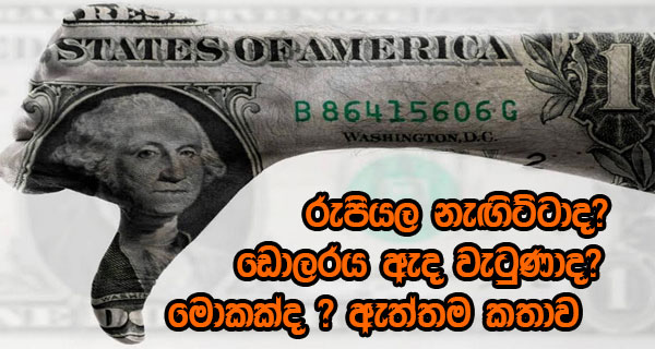 රුපියල නැඟිට්ටාද?ඩොලරය ඇද වැටුණාද?මොකක්ද ?ඇත්තම කතාව