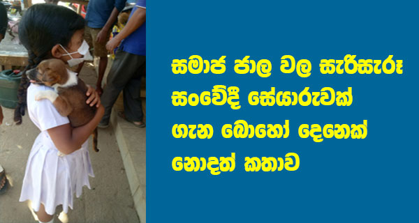 සමාජ ජාල වල සැරිසැරූ සංවේදී සේයාරුවක් ගැන බොහෝ දෙනෙක් නොදත් කතාව