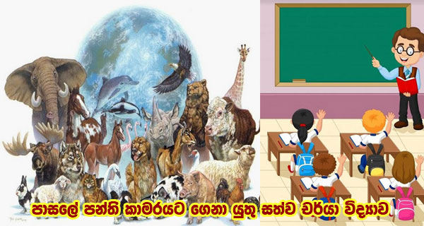 පාසලේ පන්ති කාමරයට ගෙනා යුතු සත්ව චර්යා විද්‍යාව