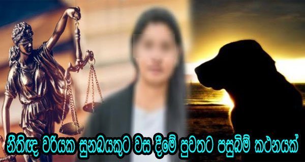 නීතිඥ වරියක සුනඛයකුට වස දීමේ පුවතට පසුබිම් කථනයක්